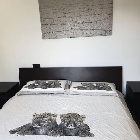 Il Pennino - Penna *